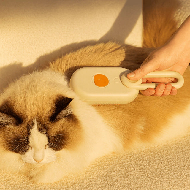 Escova PawsClean Pro® 3 em 1